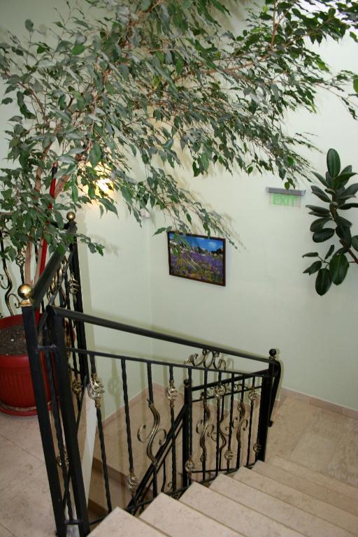 Family Hotel Zora 라즐로그 외부 사진